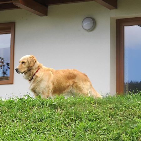 Il Cardo Trentino Apartment Bedollo Exterior foto