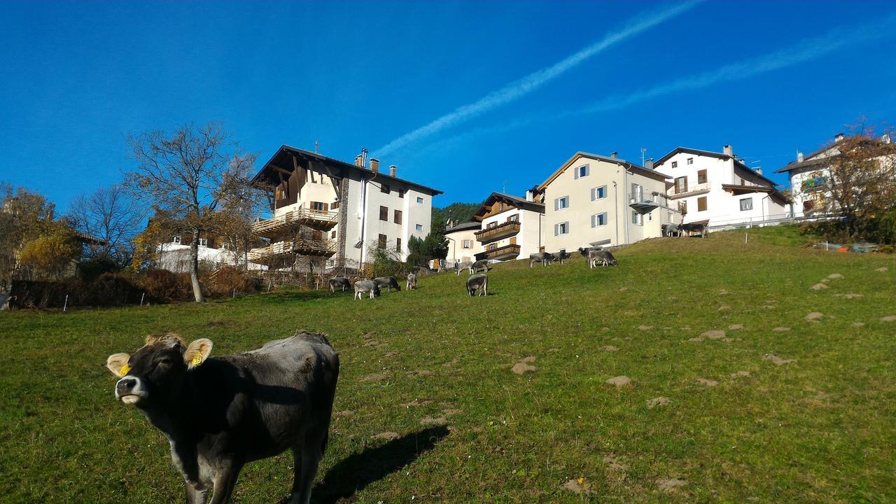 Il Cardo Trentino Apartment Bedollo Exterior foto