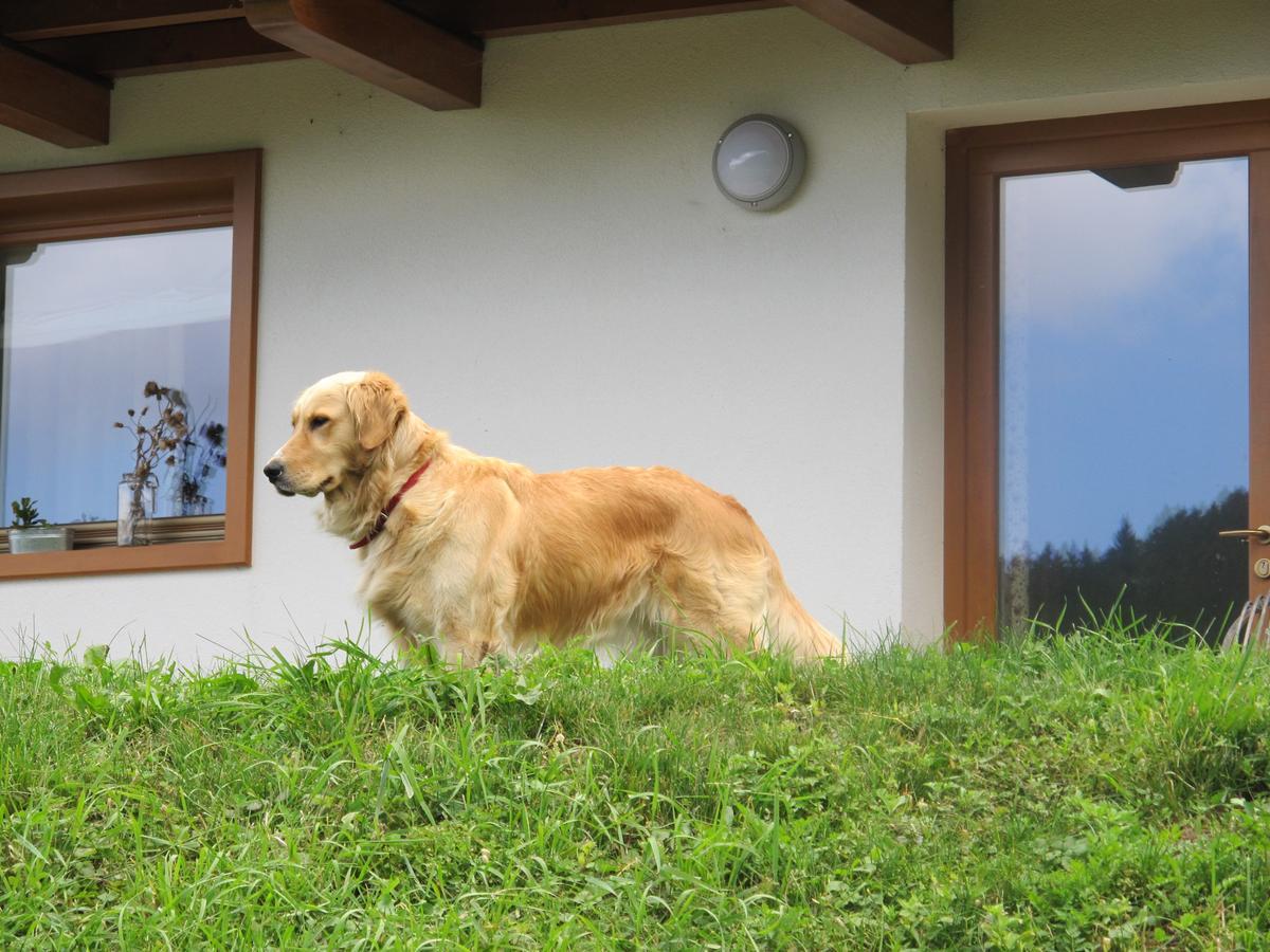 Il Cardo Trentino Apartment Bedollo Exterior foto