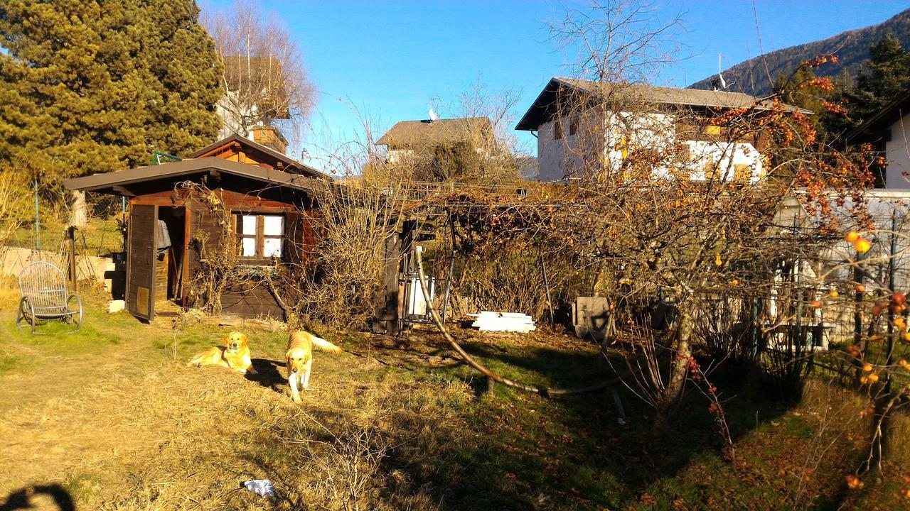 Il Cardo Trentino Apartment Bedollo Exterior foto