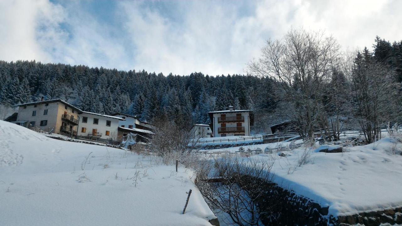 Il Cardo Trentino Apartment Bedollo Exterior foto